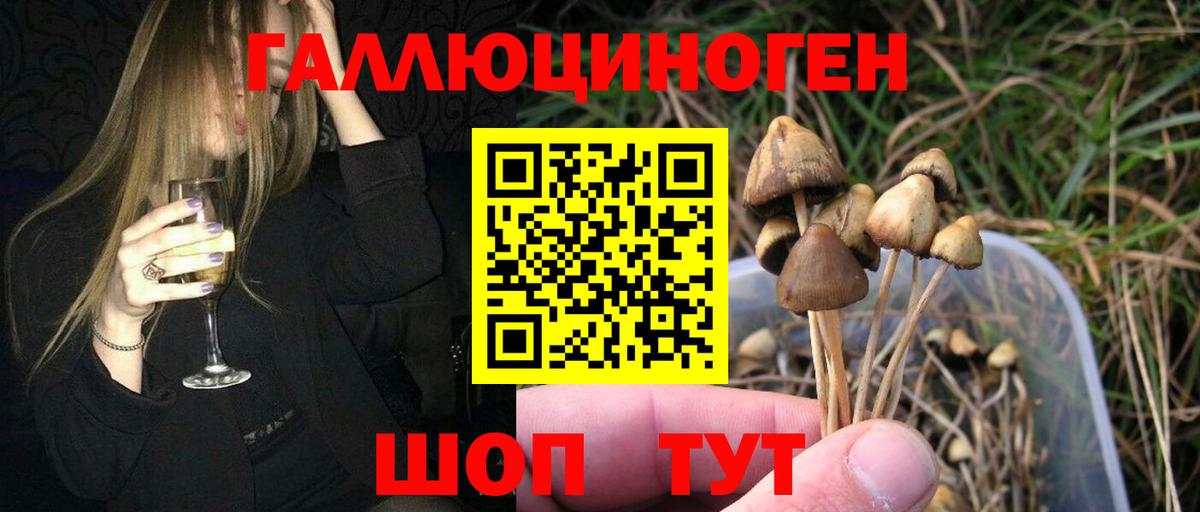 Псилоцибиновые грибы GOLDEN TEACHER Красноуфимск